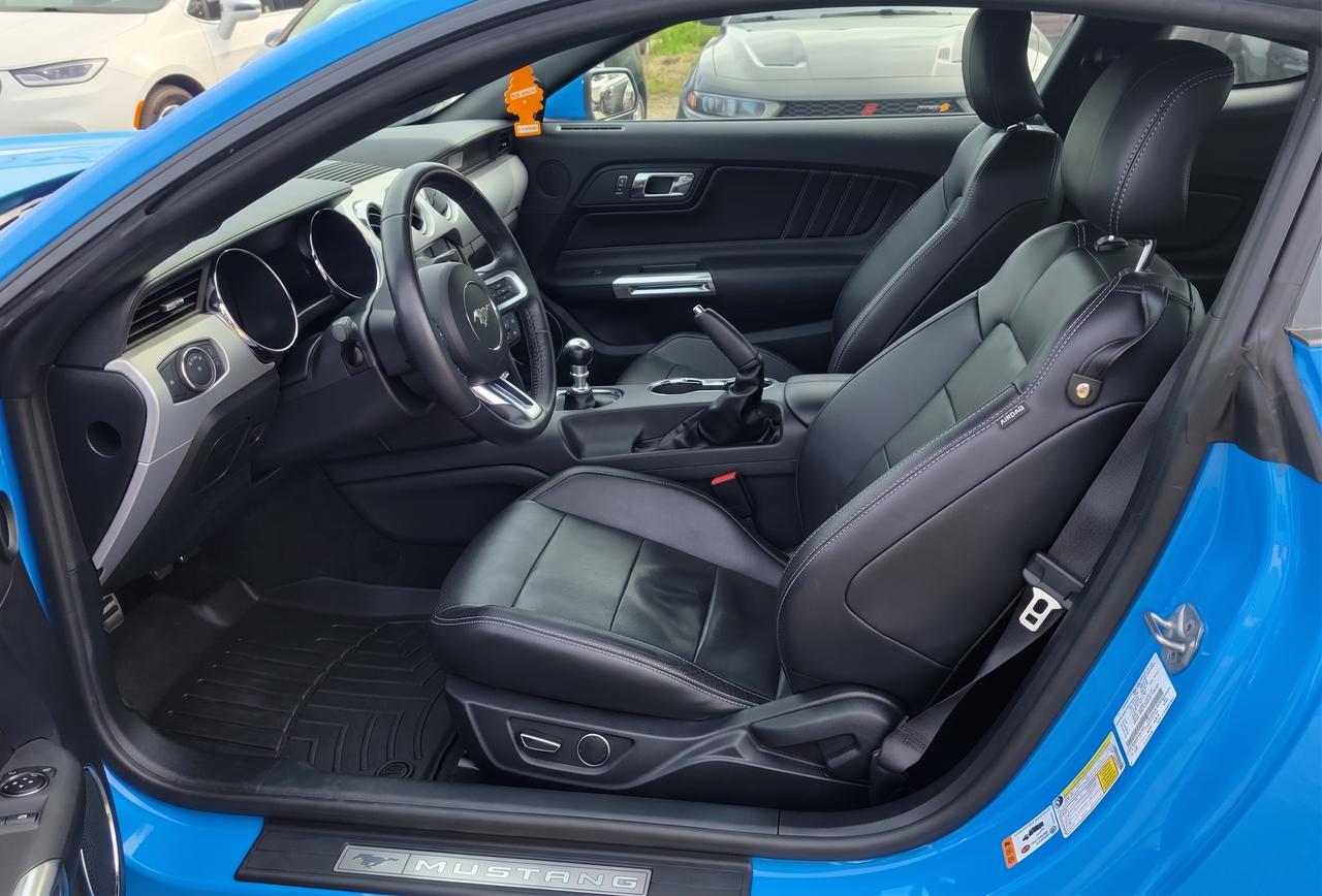 2017 Ford Mustang GT PREMIUM / SHAKER / NO ACCIDENTS / ONE OWNER Photo3