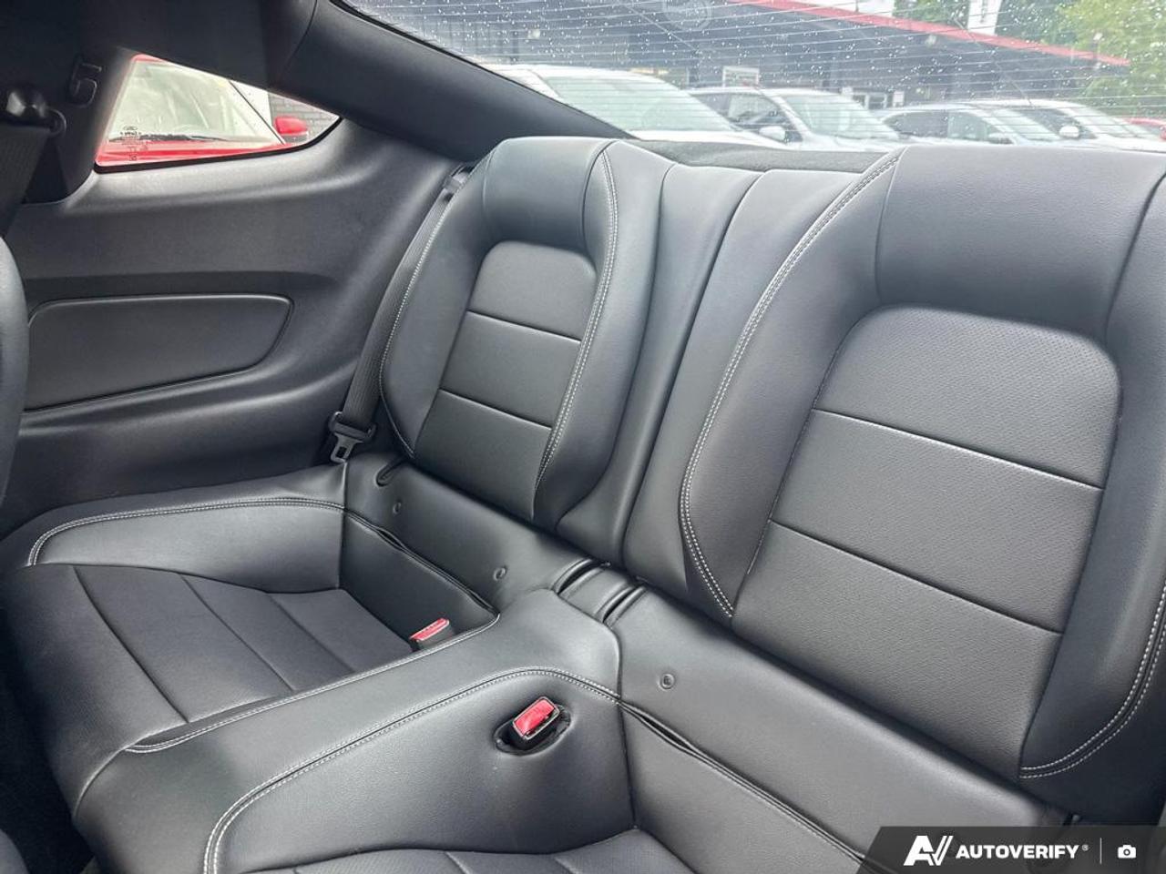 2017 Ford Mustang GT PREMIUM / SHAKER / NO ACCIDENTS / ONE OWNER Photo