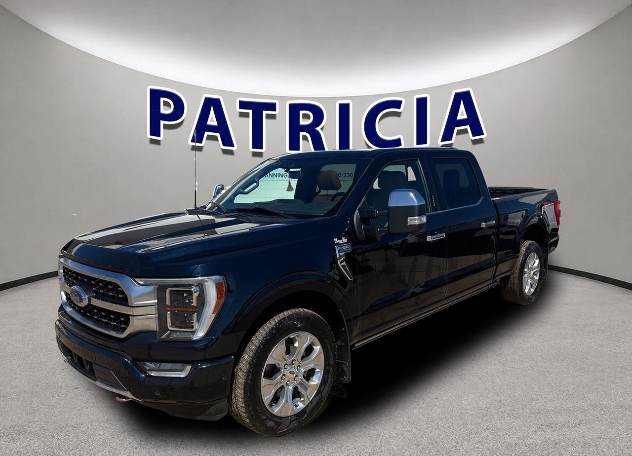 Used 2023 Ford F-150 Platinum for sale in Manning, AB