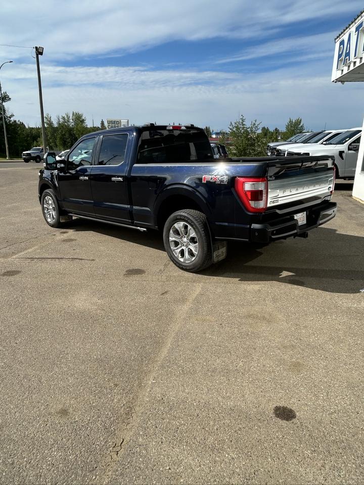 2023 Ford F-150 Platinum Photo3