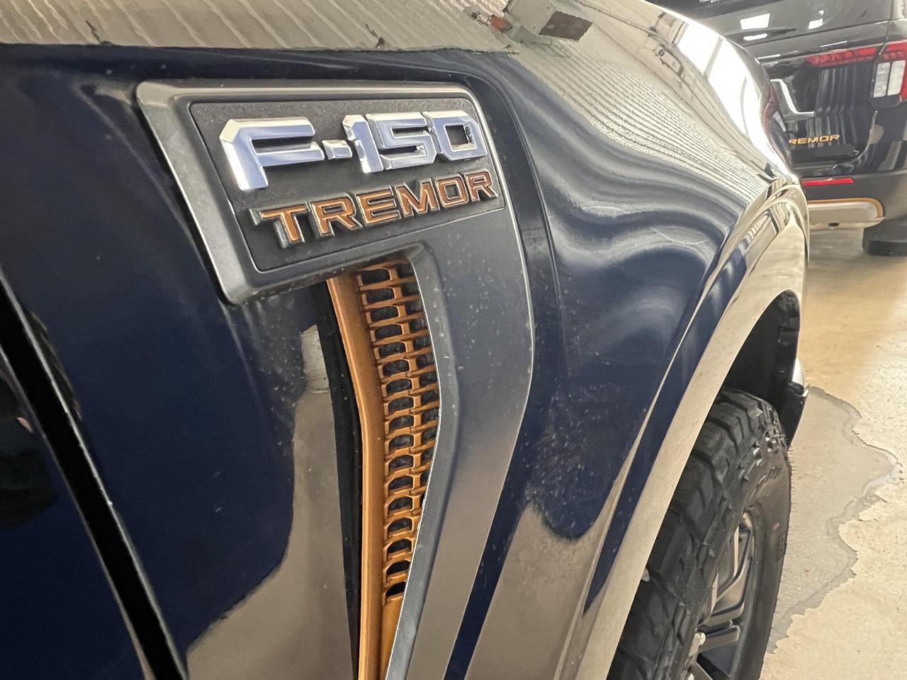 2026 Ford F-150 Tremor 3.5L V6 ECOBOOST 402A+ Photo3
