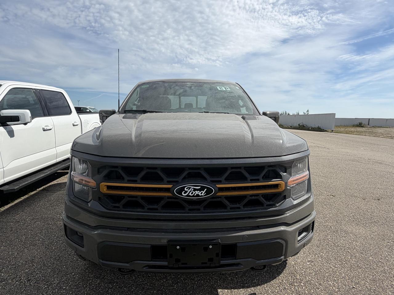 2026 Ford F-150 Tremor Employee Pricing on NOW!! Photo2