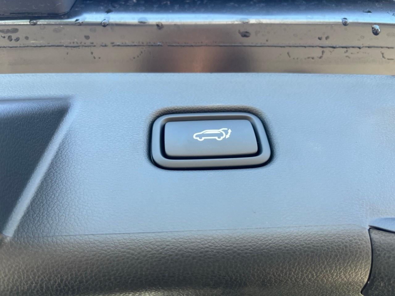 2026 Hyundai Tucson Hybrid Night Edition AWD Photo
