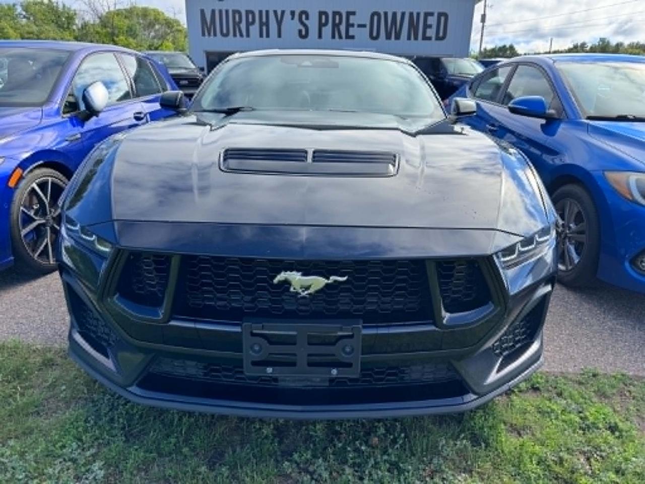 2024 Ford Mustang GT Photo