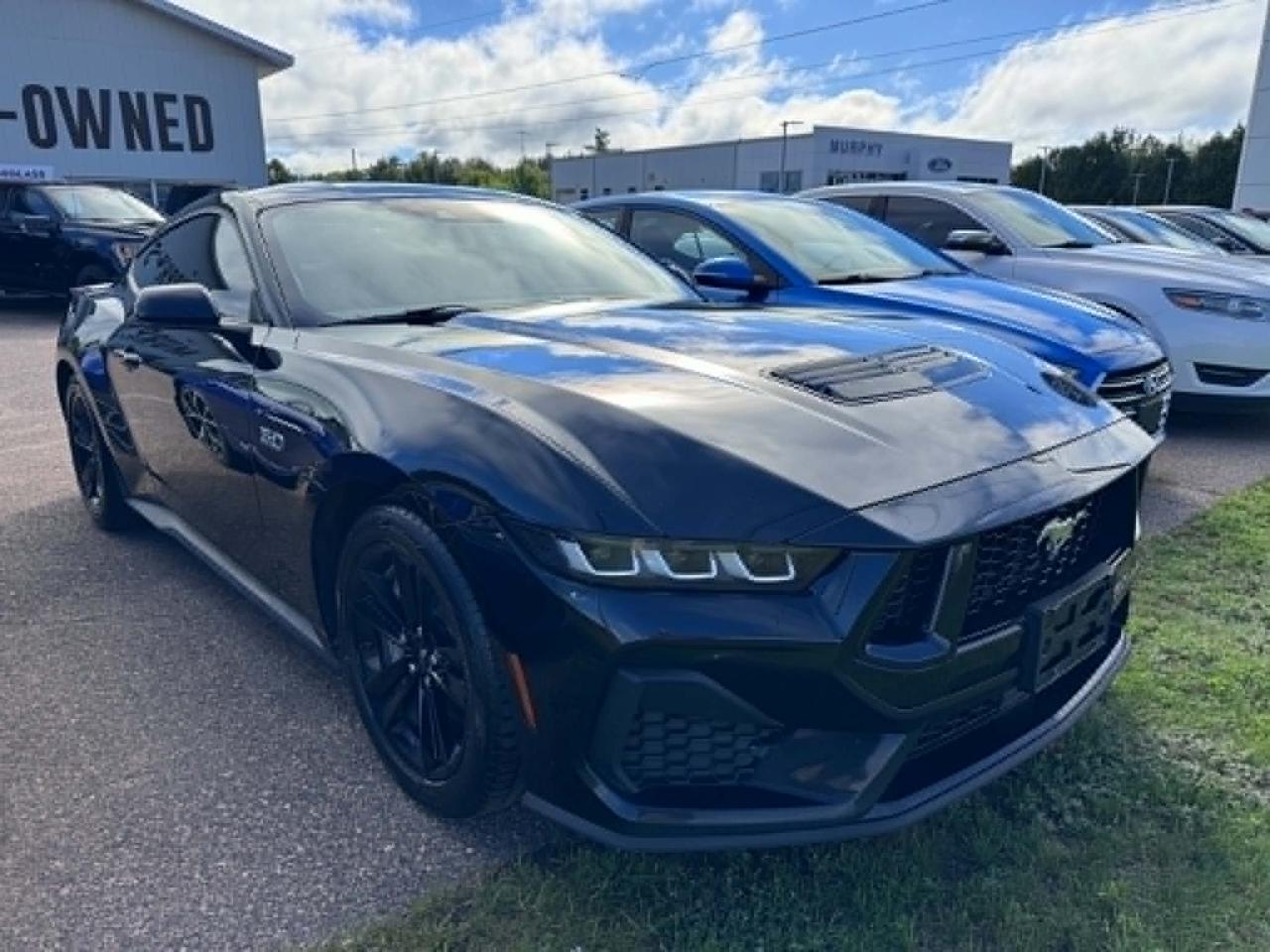 2024 Ford Mustang GT Photo5