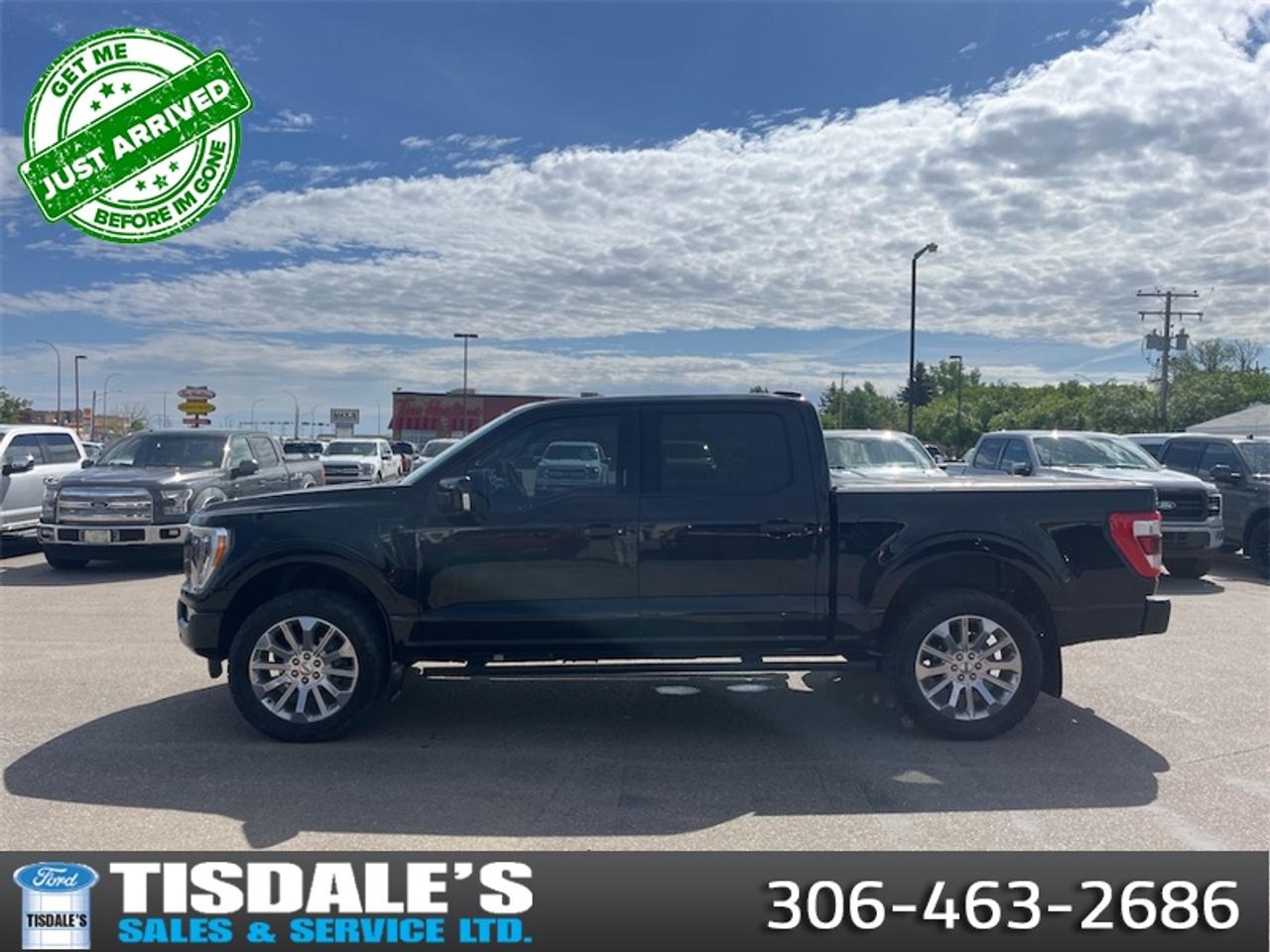 Used 2021 Ford F-150 Limited  - Leather Seats -  Cooled Seats for sale in Kindersley, SK