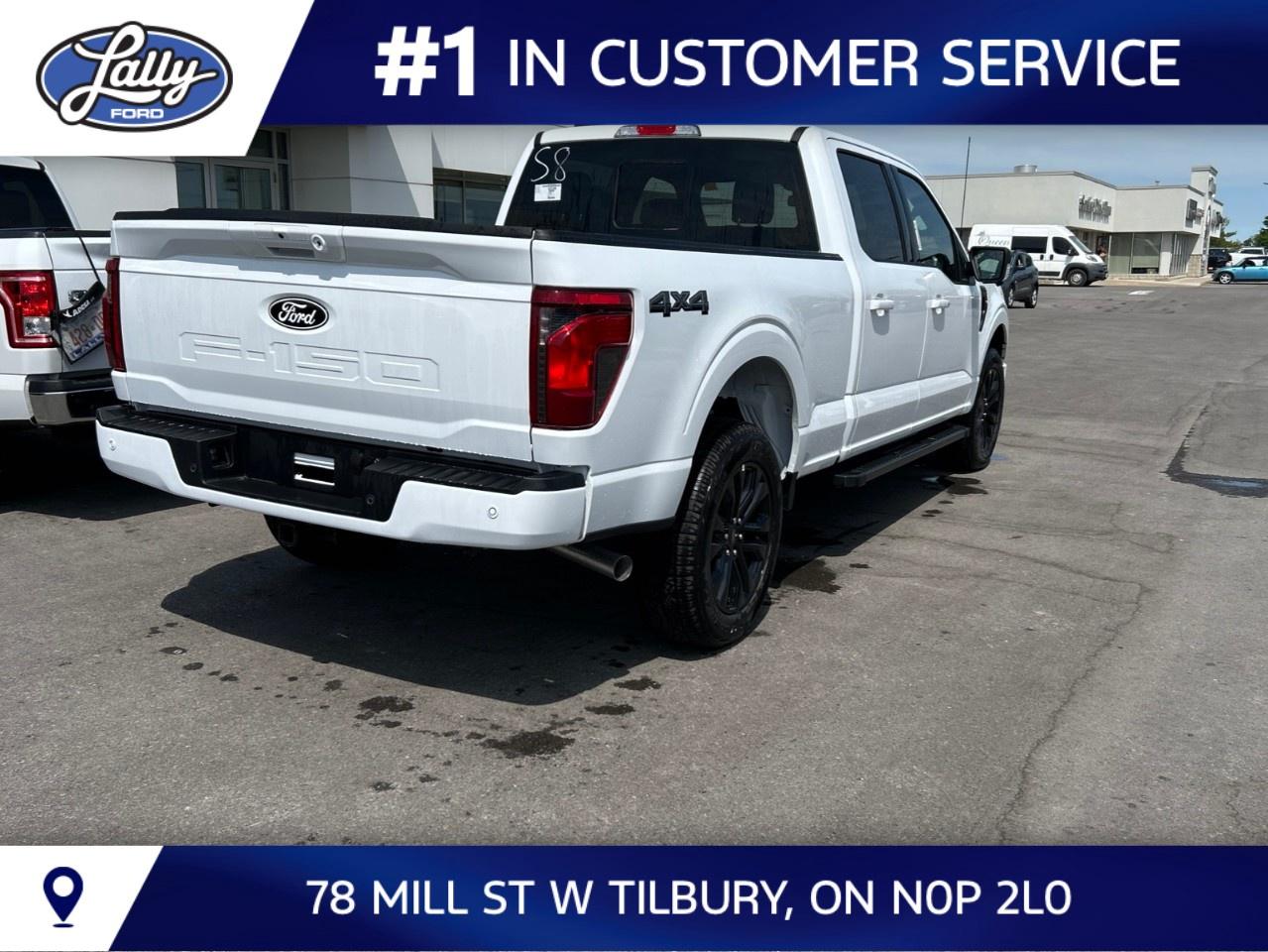 2026 Ford F-150 XLT 4WD SuperCrew 6.5' Box Photo