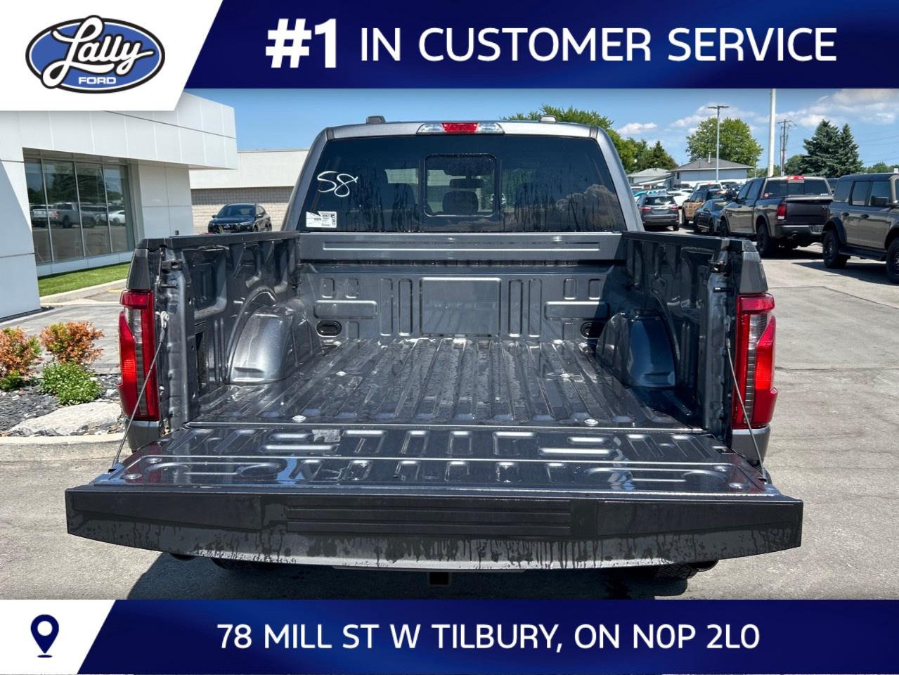 2026 Ford F-150 XLT 4WD SuperCrew 5.5' Box Photo