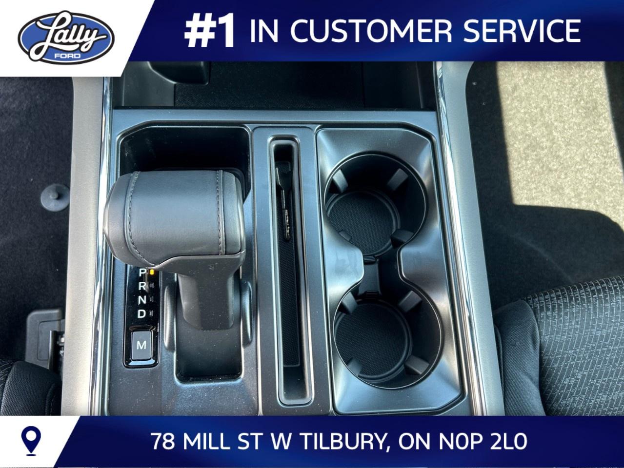 2026 Ford F-150 XLT 4WD SuperCrew 5.5' Box Photo