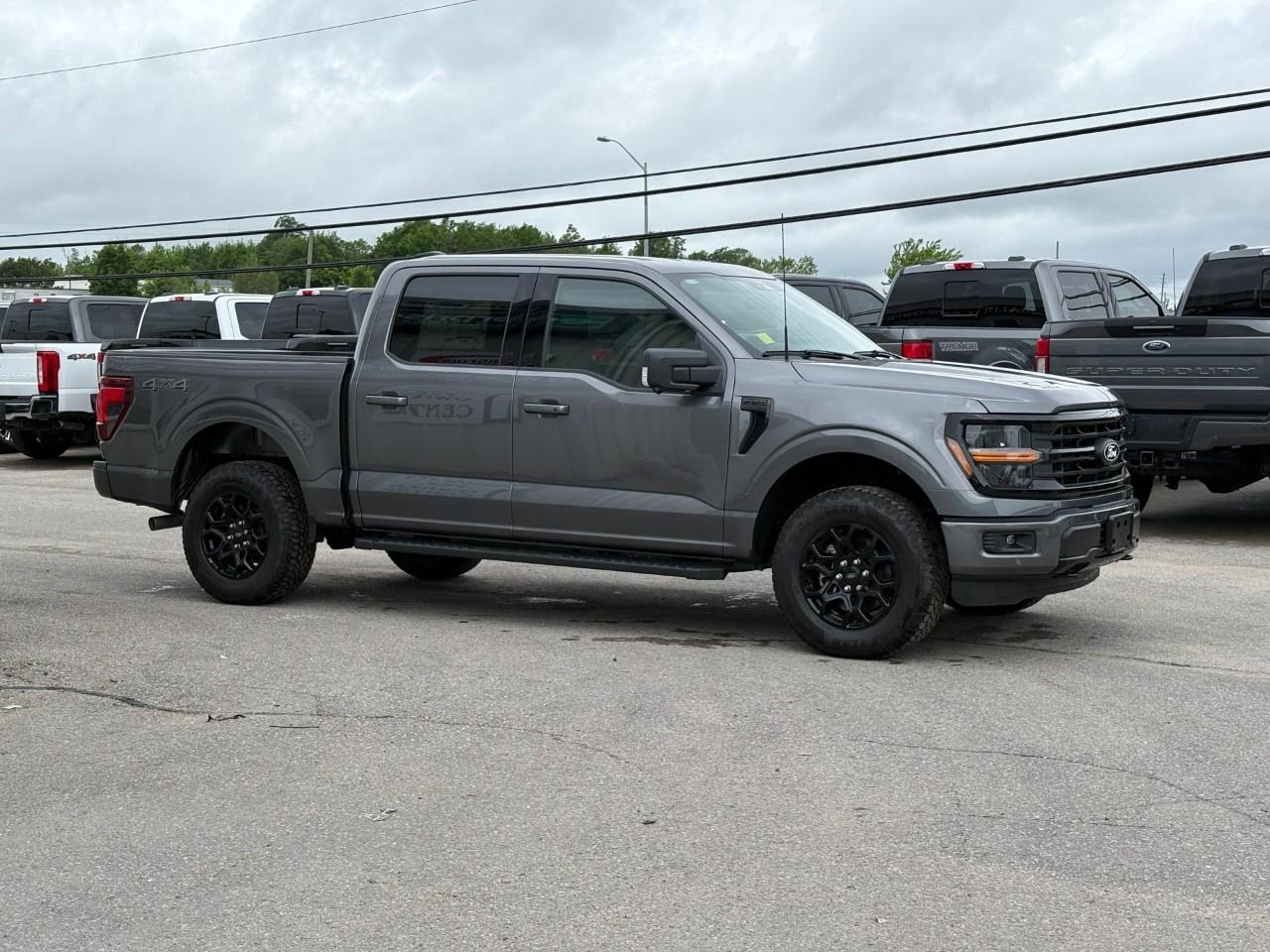 2026 Ford F-150 XLT 4WD SuperCrew 5.5' Box Photo4