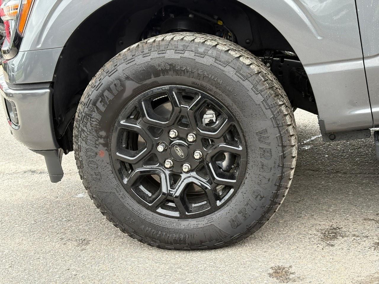 2026 Ford F-150 XLT 4WD SuperCrew 5.5' Box Photo