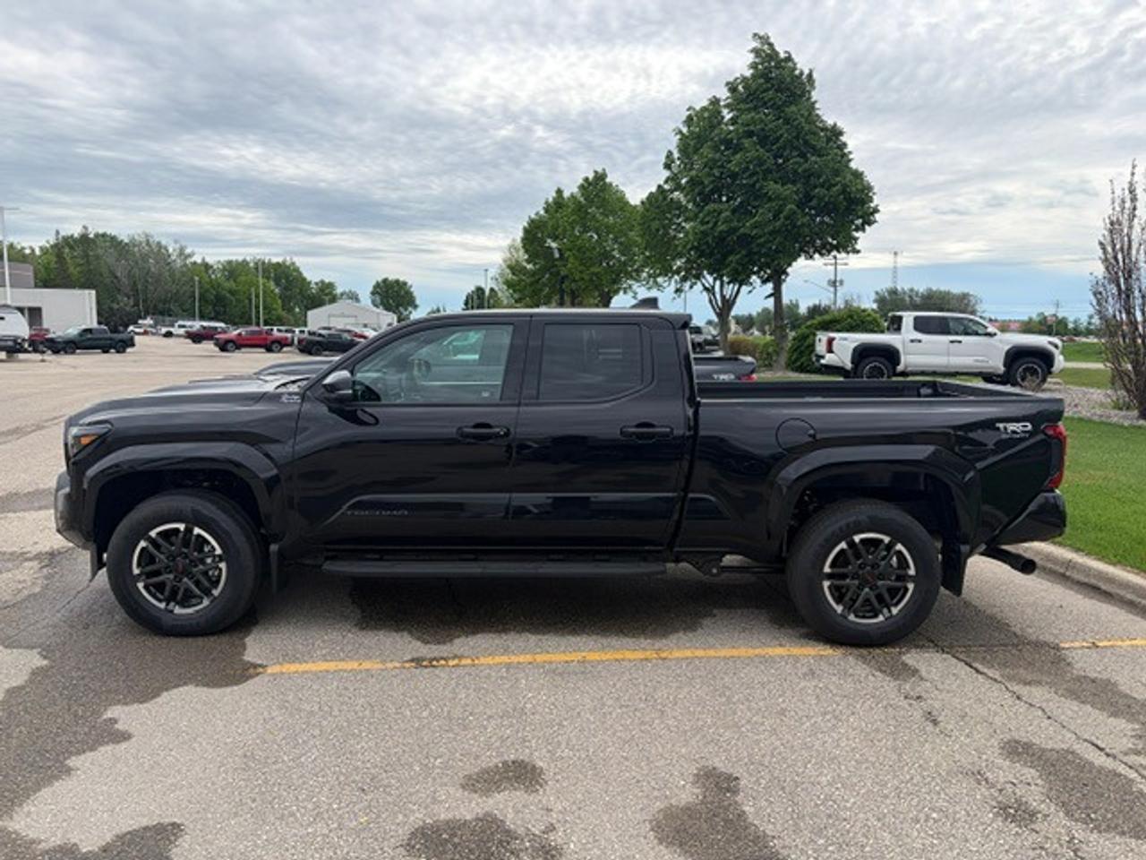 2026 Toyota Tacoma Double Cab SPORT PREMIUM Photo