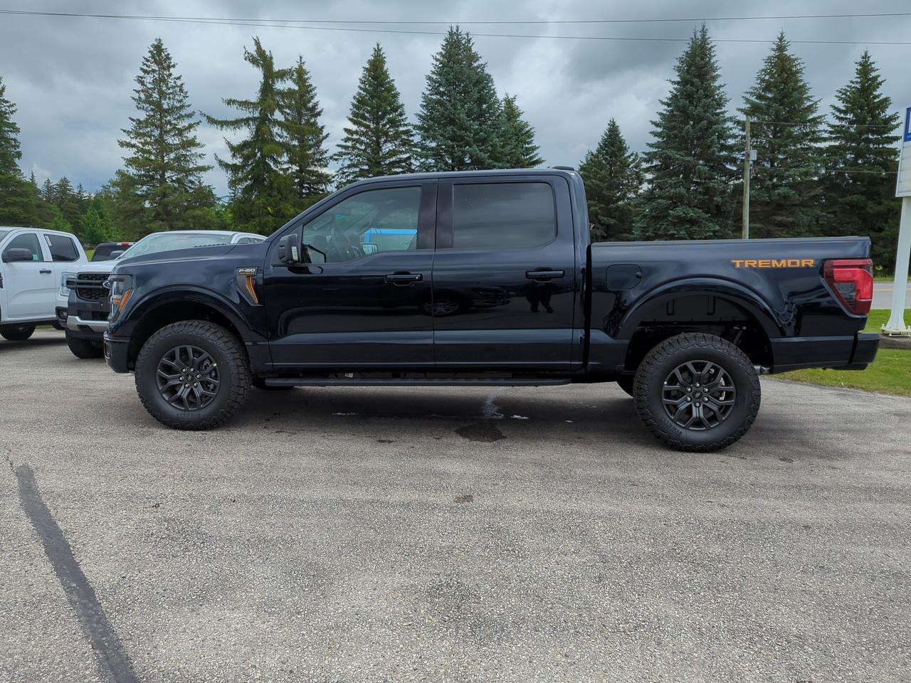 2026 Ford F-150 Tremor SuperCrew 401A 4x4 Photo2