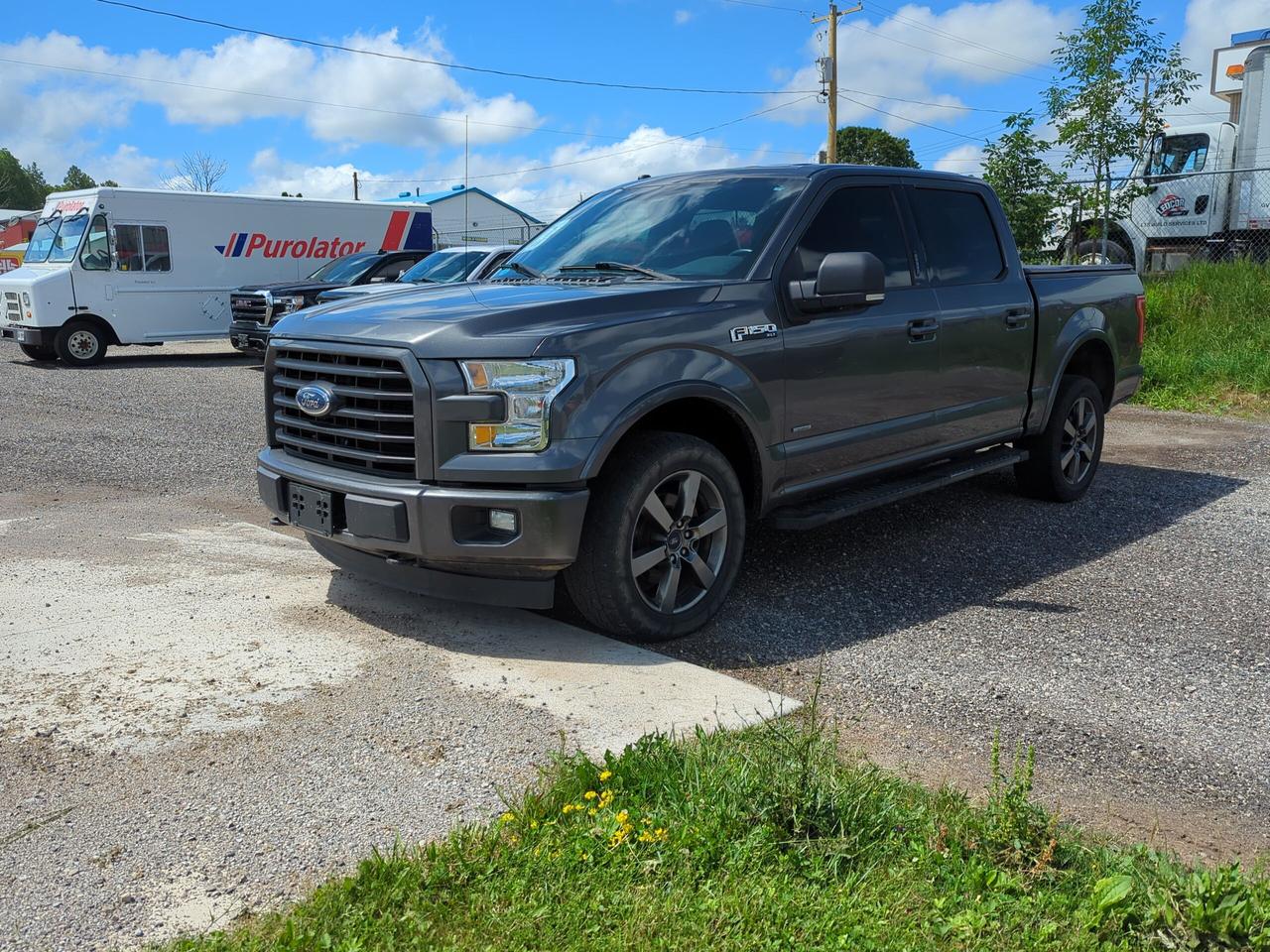 2017 Ford F-150 XLT 4WD SuperCrew 5.5' Box Photo0