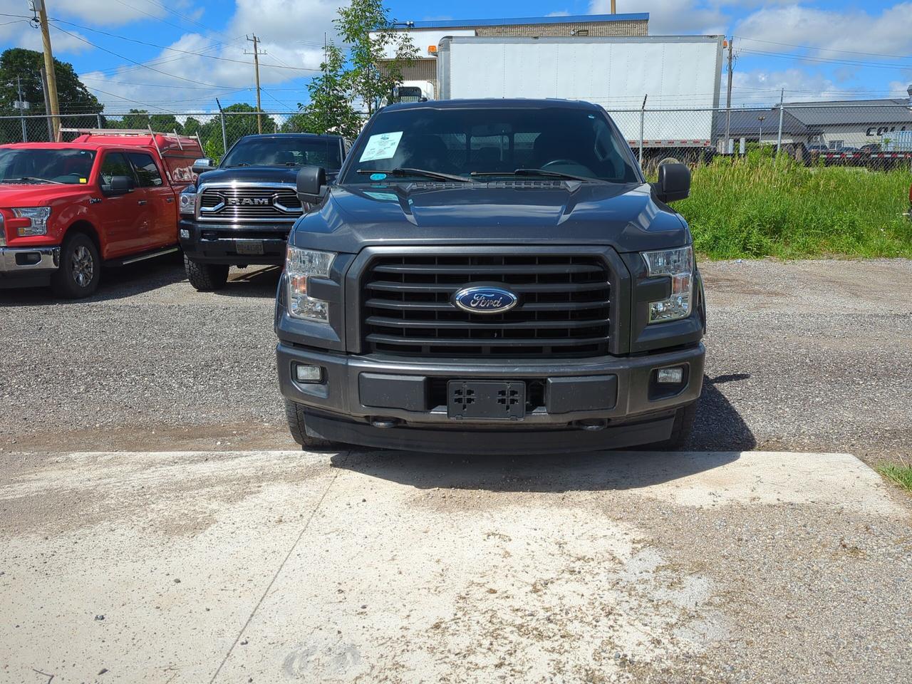 2017 Ford F-150 XLT 4WD SuperCrew 5.5' Box Photo1