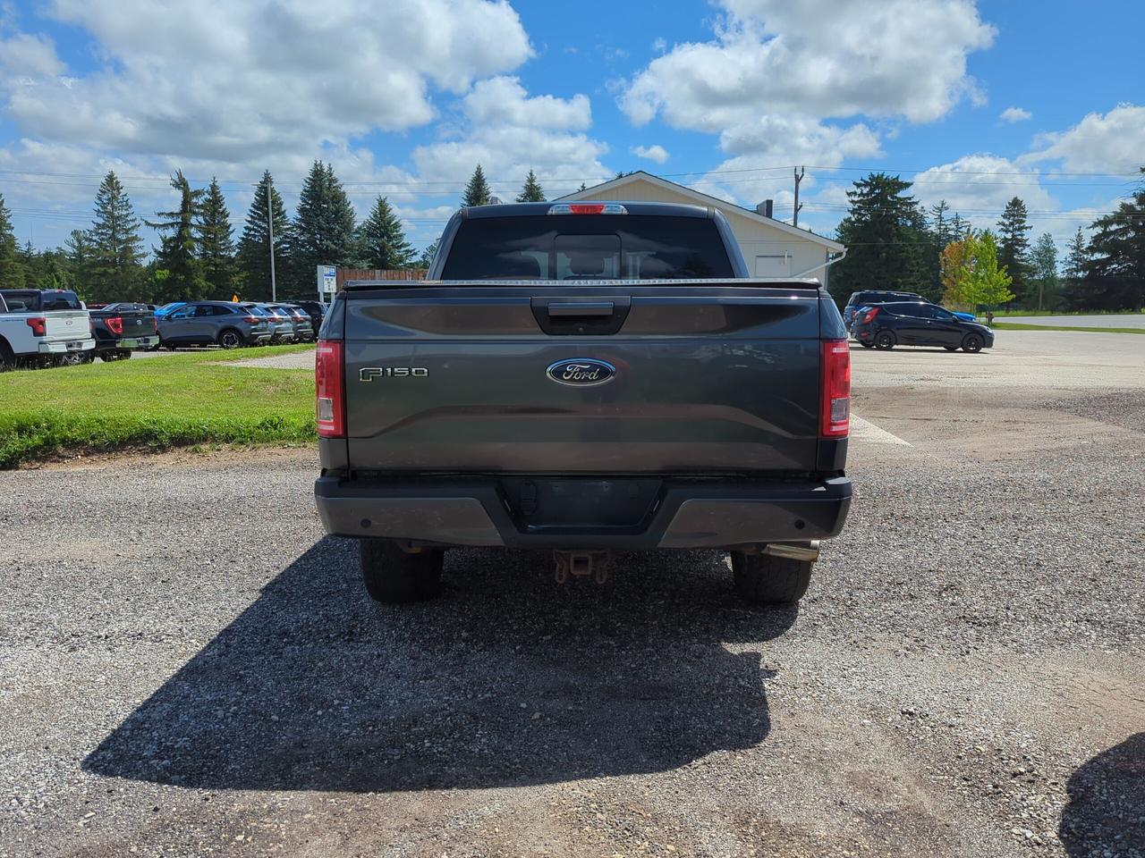 2017 Ford F-150 XLT 4WD SuperCrew 5.5' Box Photo4