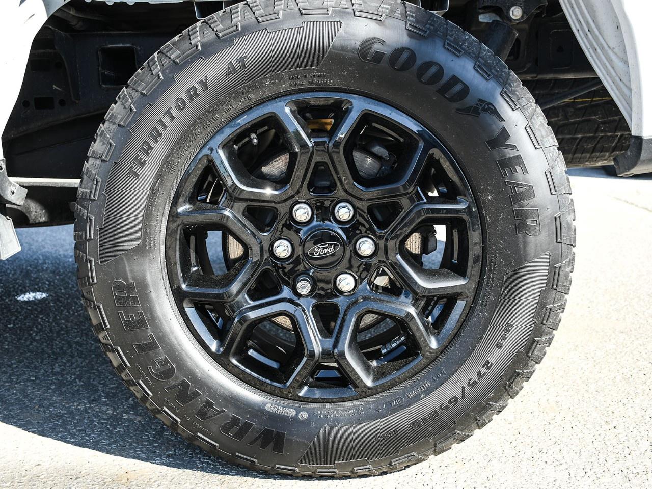 2024 Ford F-150 XLT 4WD SuperCrew 5.5' Box Photo