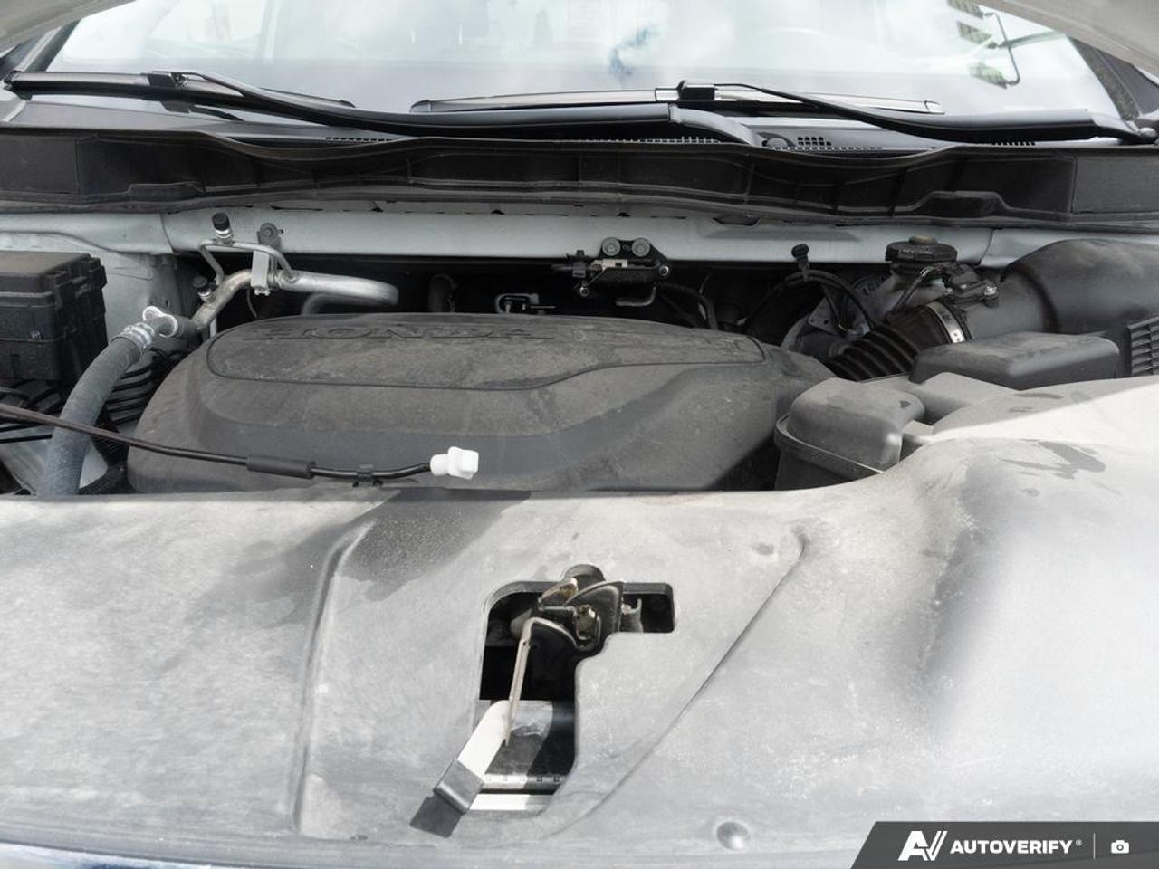 2024 Honda Odyssey  Photo
