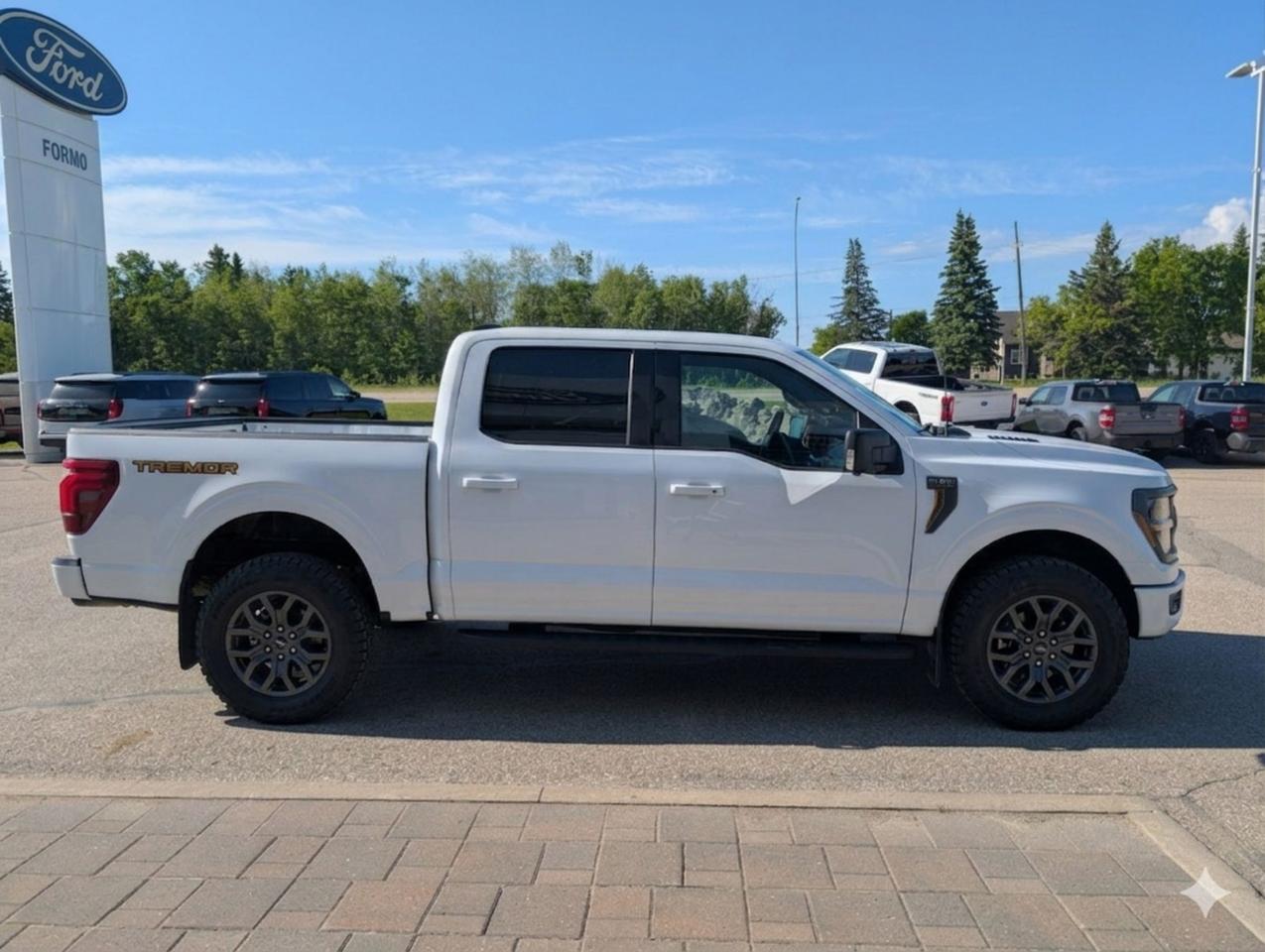 2024 Ford F-150 Tremor Photo4