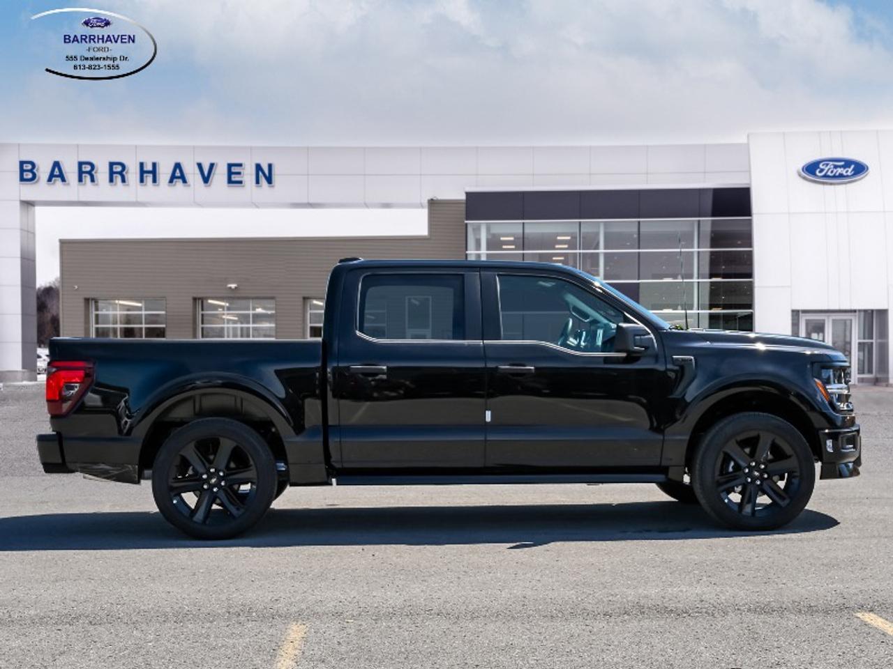 2026 Ford F-150 STX Photo