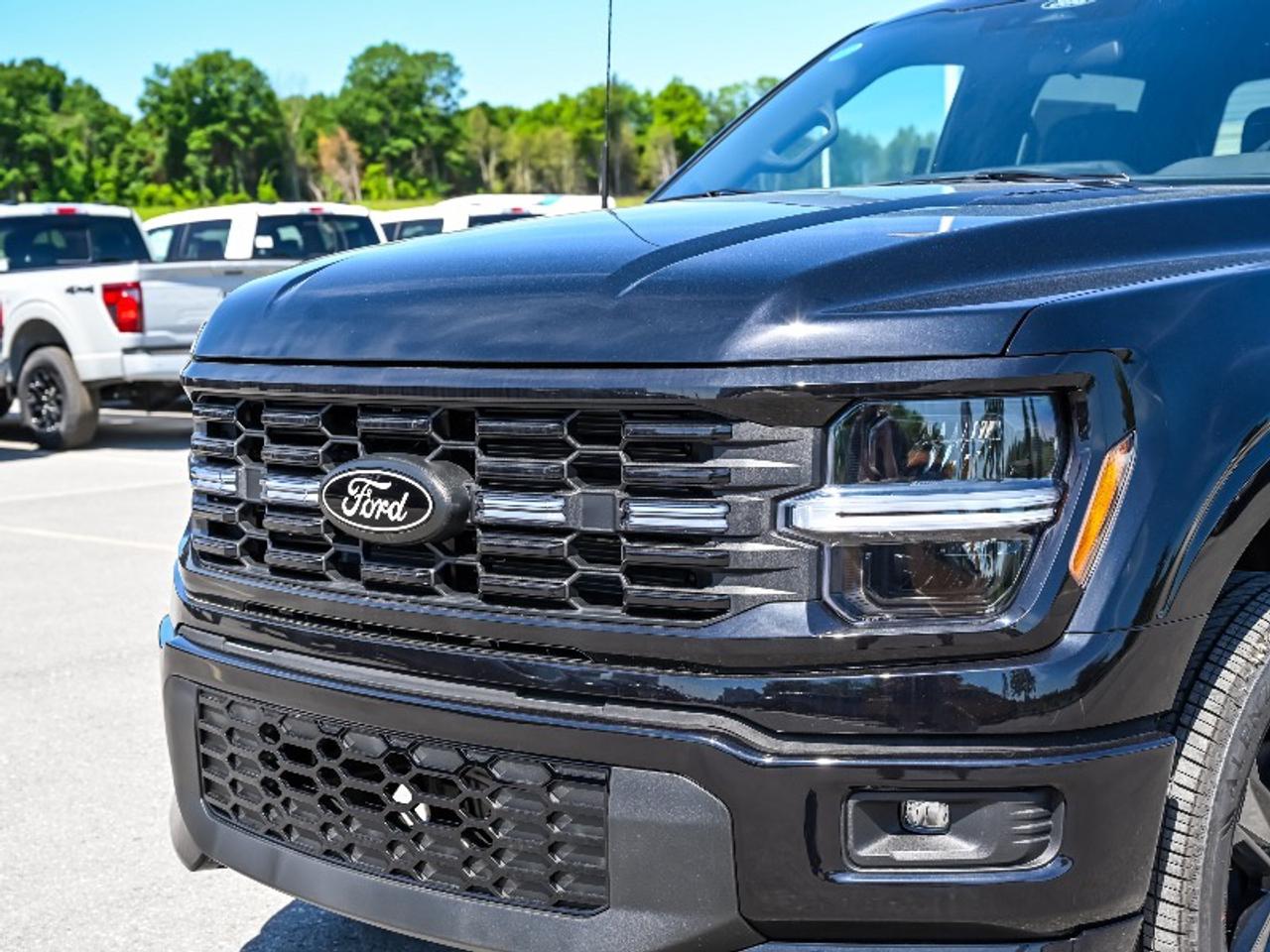 2026 Ford F-150 STX Photo