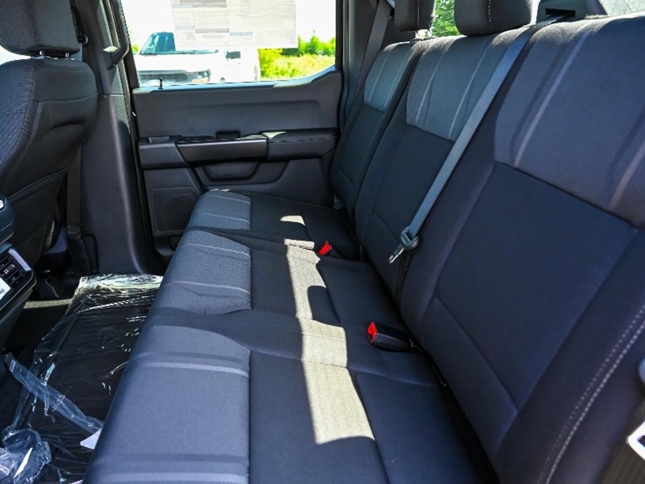2026 Ford F-150 STX Photo