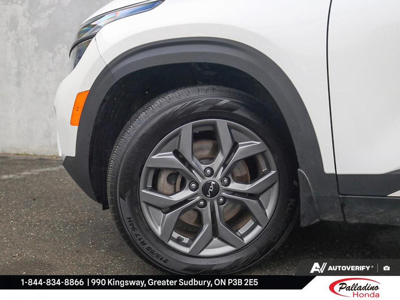 2024 Kia Seltos EX Photo