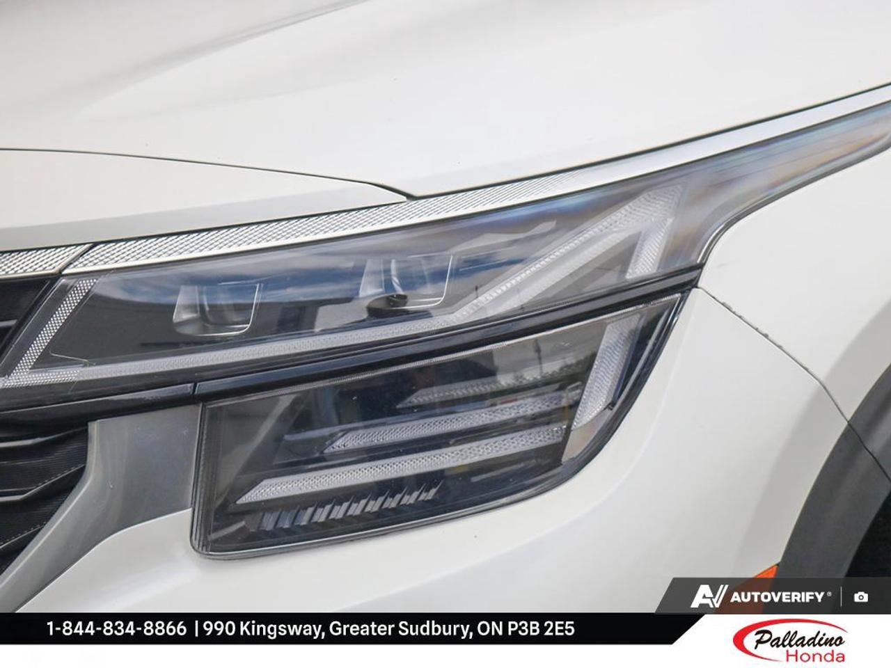 2024 Kia Seltos EX Photo