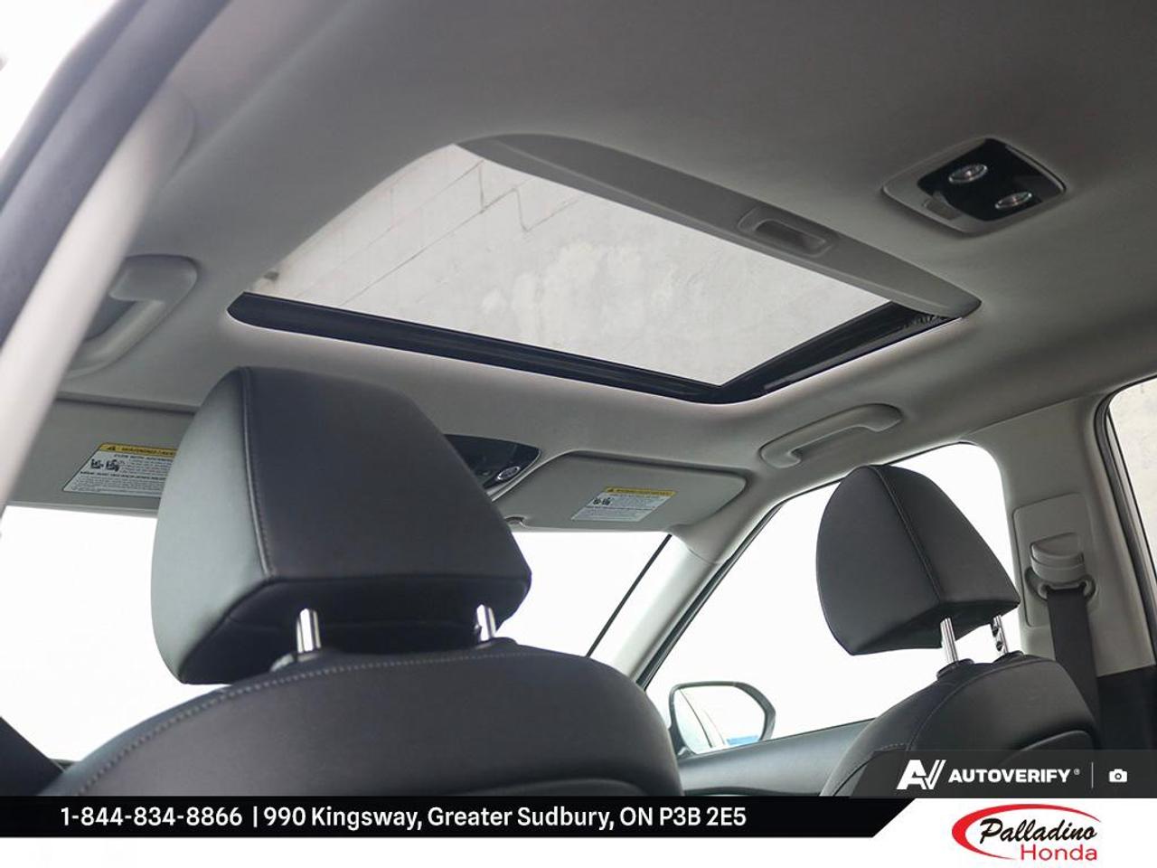 2024 Kia Seltos EX Photo