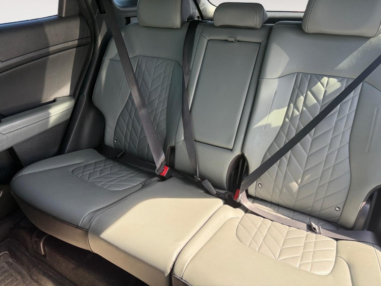 2023 Kia Sportage X-line Limited Photo
