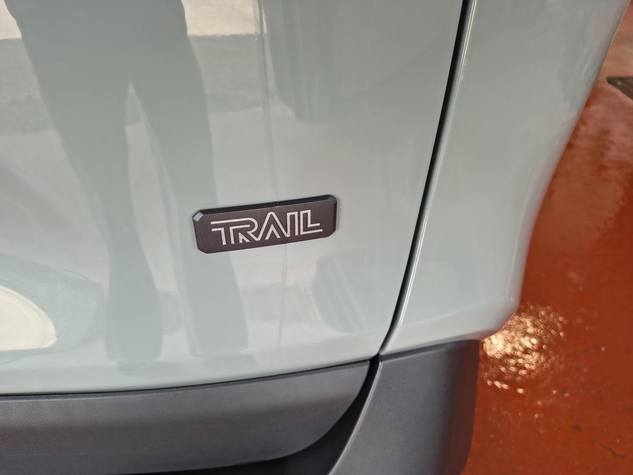 2019 Toyota RAV4 TRAIL Photo0
