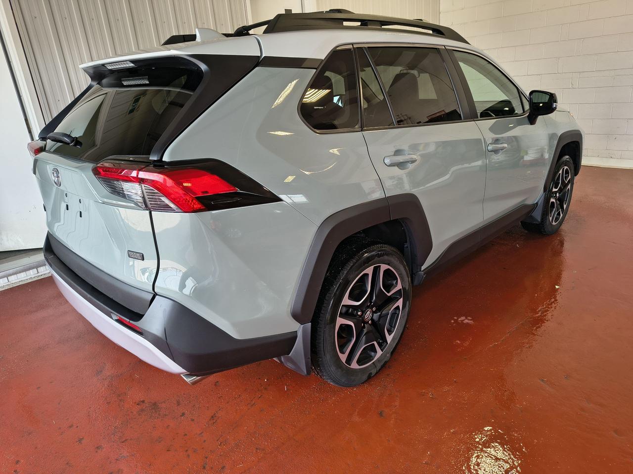 2019 Toyota RAV4 TRAIL Photo
