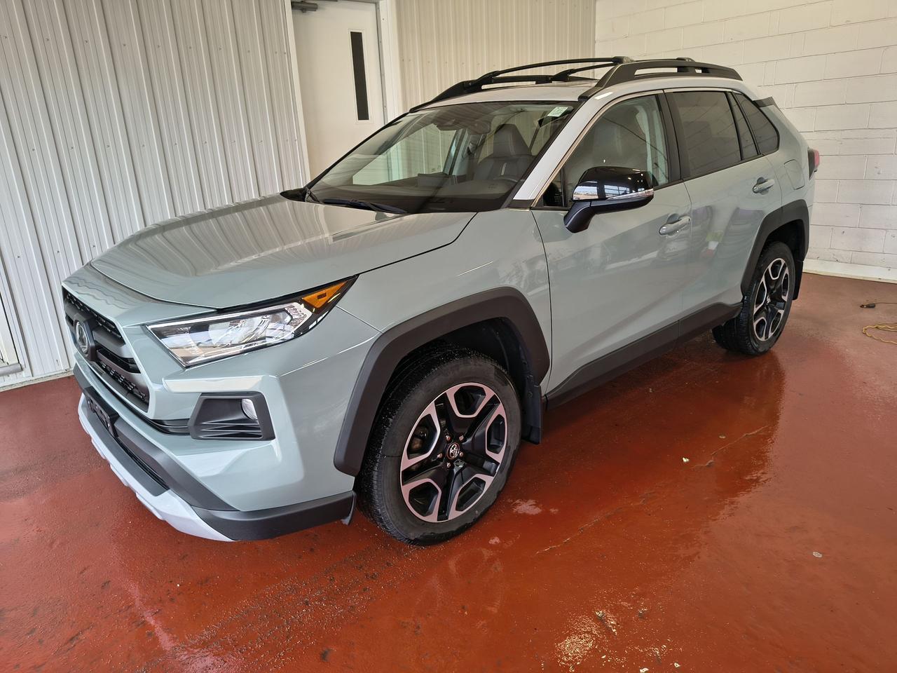 2019 Toyota RAV4 TRAIL Photo0