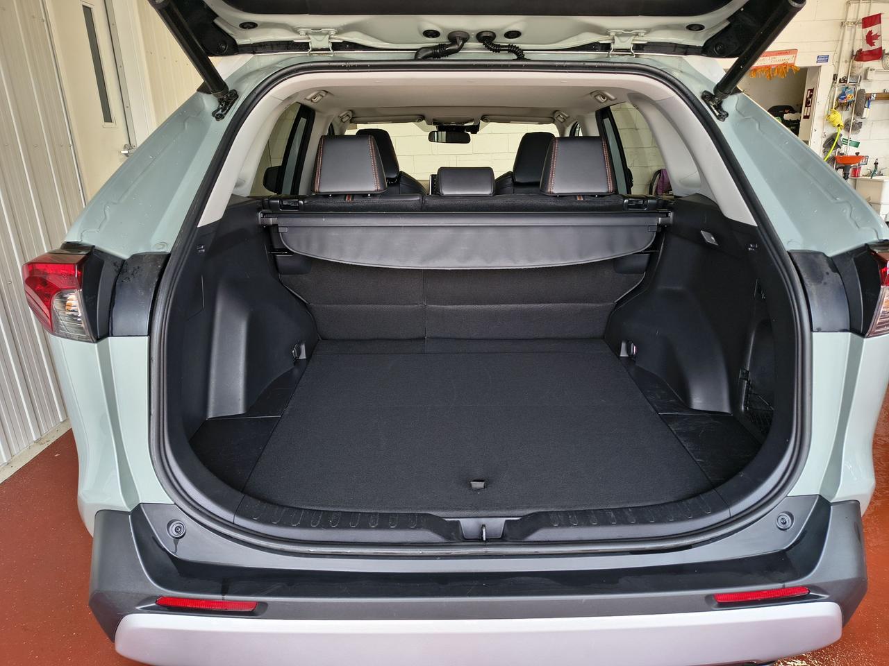 2019 Toyota RAV4 TRAIL Photo0