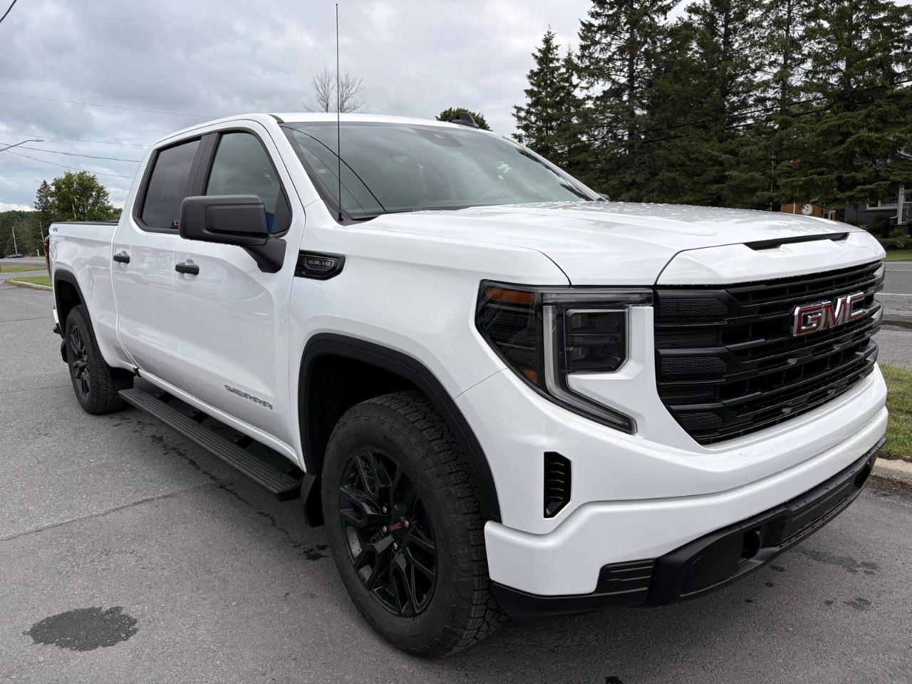 2026 GMC Sierra 1500 Crew Cab Standard Box 4-Wheel Drive Pro Photo