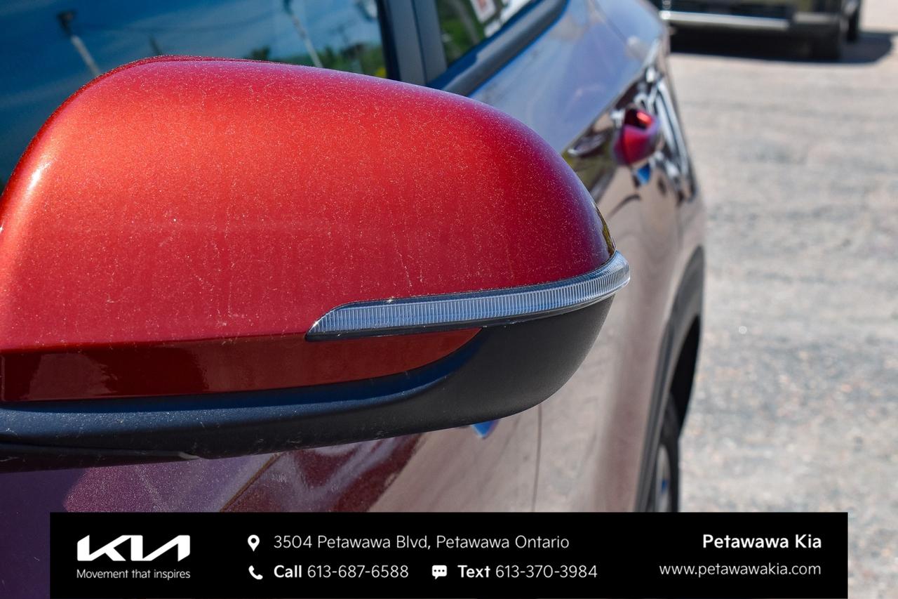 2025 Kia Seltos LX 4dr All-Wheel Drive Photo