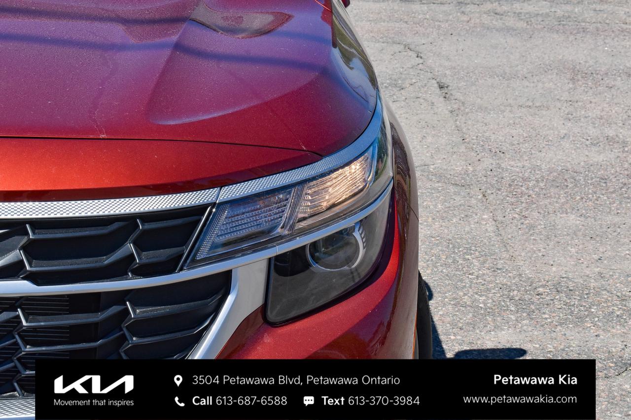 2025 Kia Seltos LX 4dr All-Wheel Drive Photo