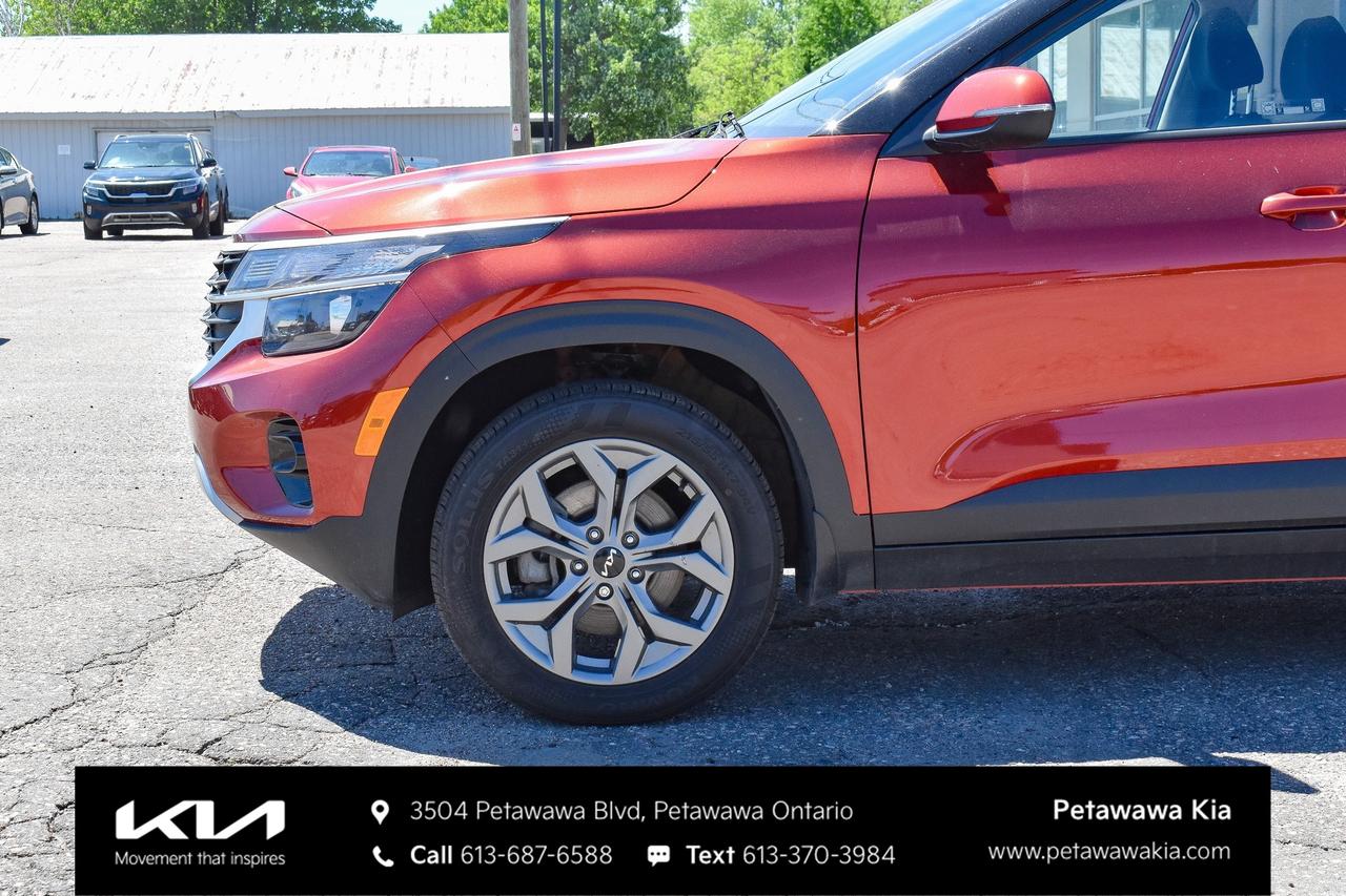 2025 Kia Seltos LX 4dr All-Wheel Drive Photo