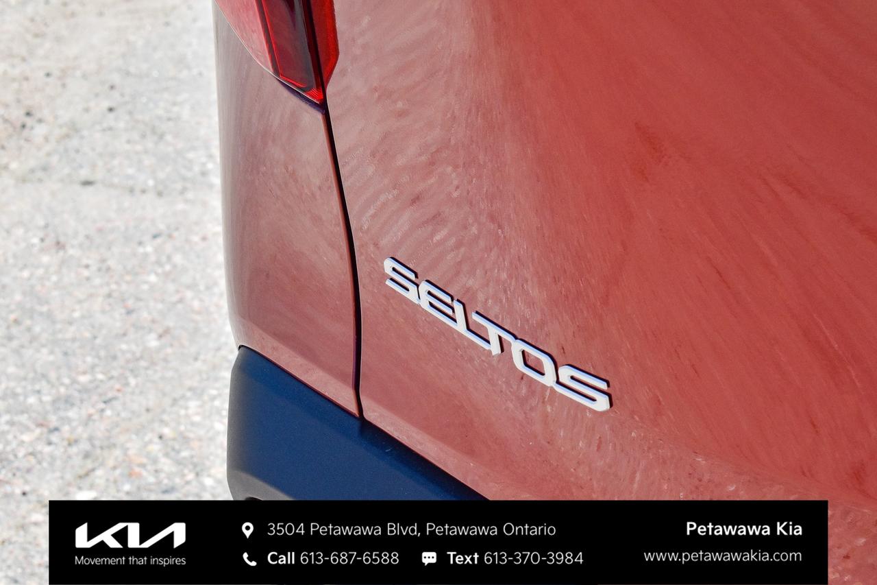 2025 Kia Seltos LX 4dr All-Wheel Drive Photo