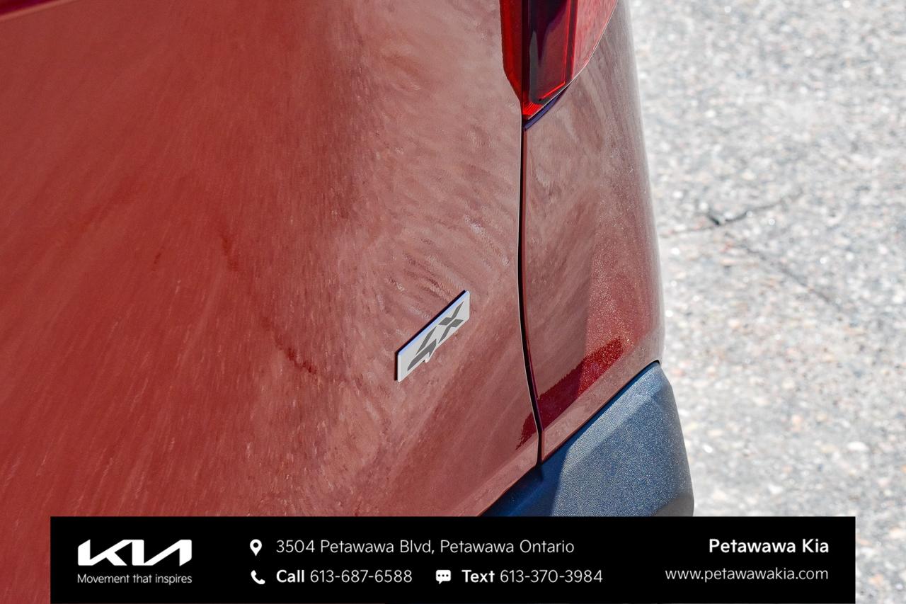 2025 Kia Seltos LX 4dr All-Wheel Drive Photo