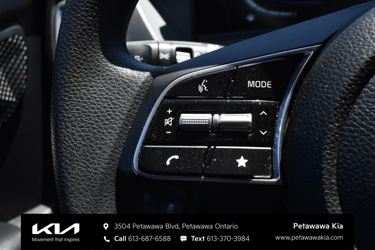 2025 Kia Seltos LX 4dr All-Wheel Drive Photo