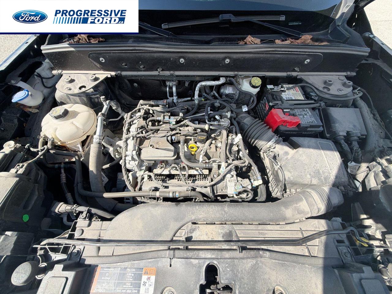 2022 Ford Bronco Sport Outer Banks 4dr 4x4 Photo