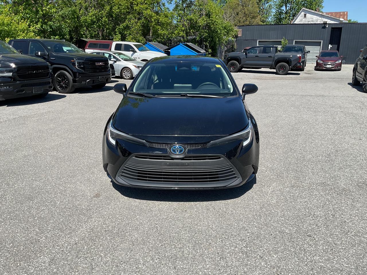 2023 Toyota Corolla Hybrid LE 4dr Front-Wheel Drive Sedan Photo