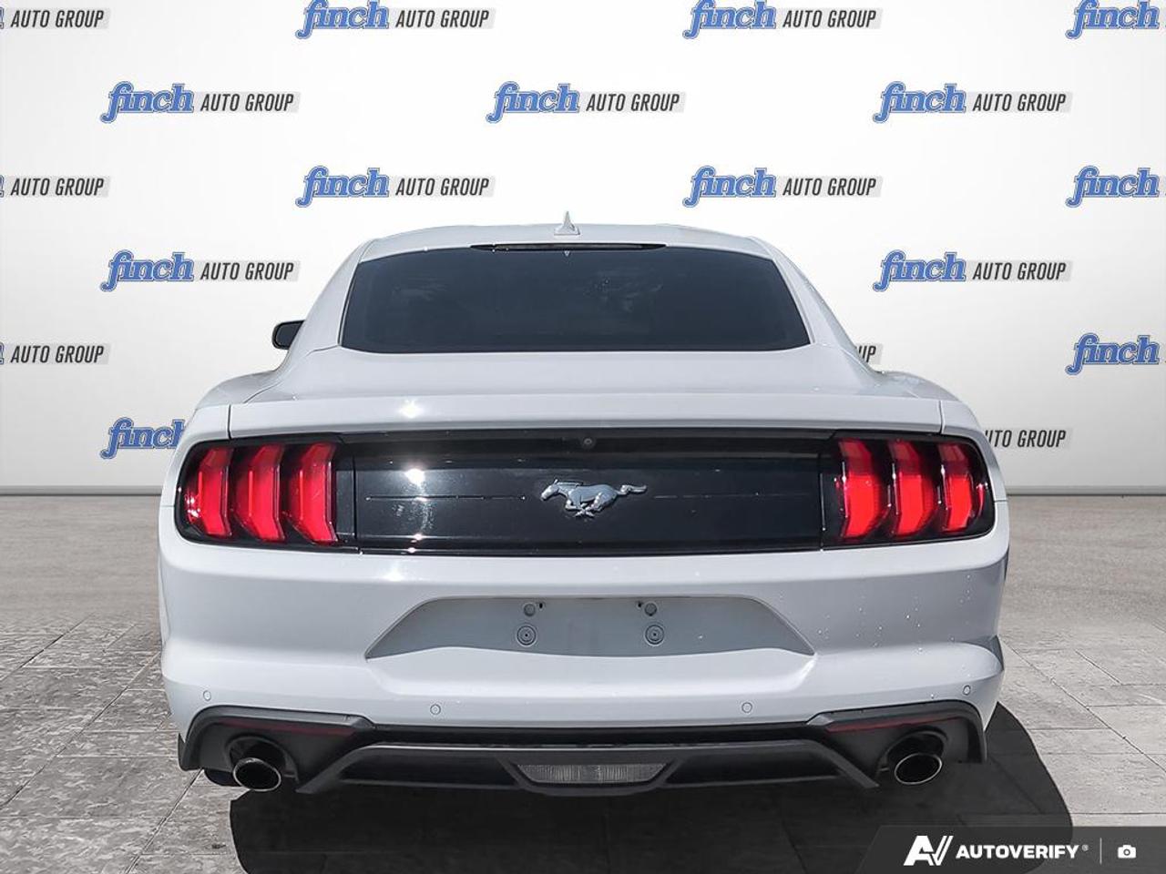 2021 Ford Mustang EcoBoost 2dr Fastback Photo