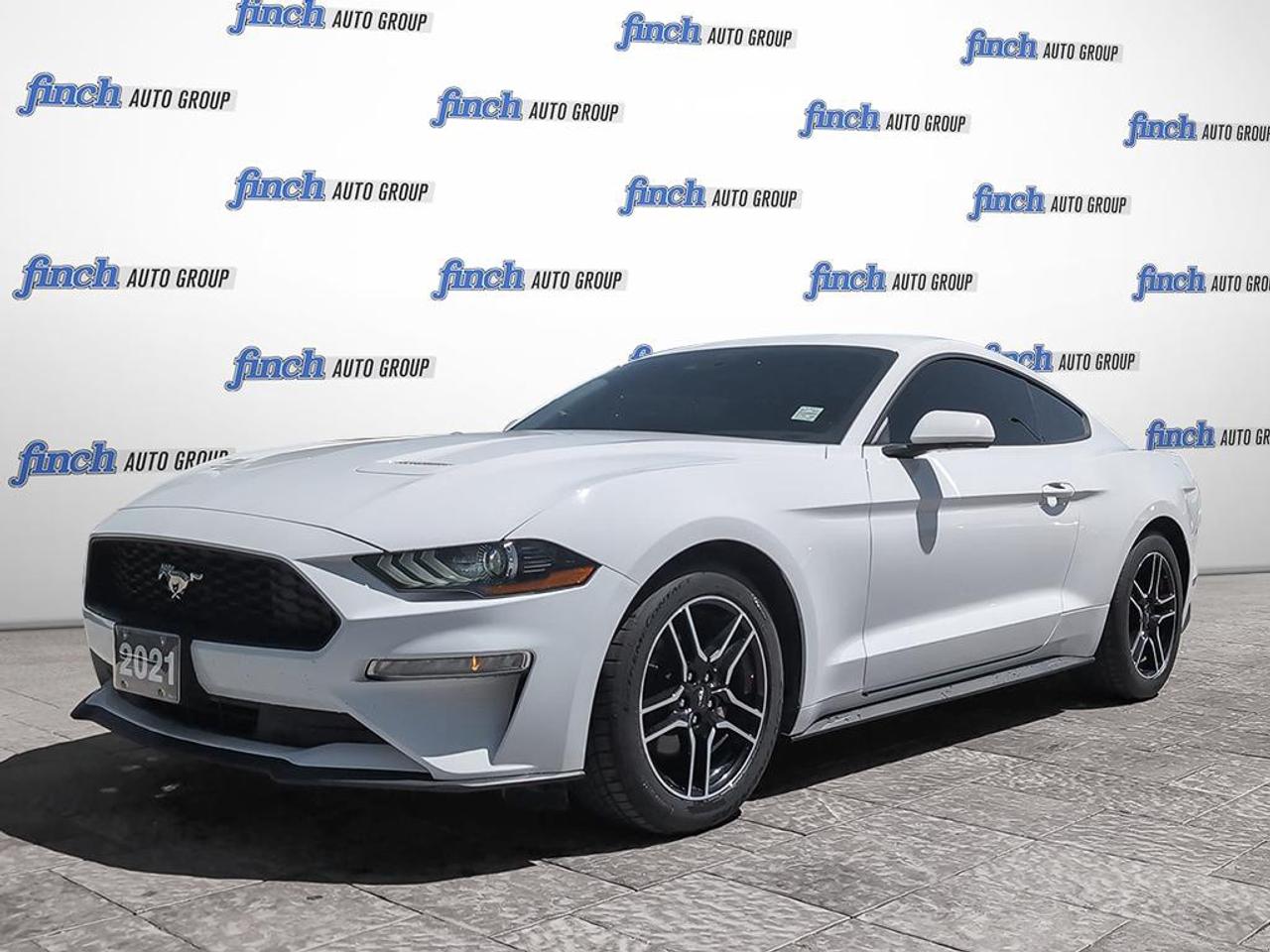 2021 Ford Mustang EcoBoost 2dr Fastback Photo