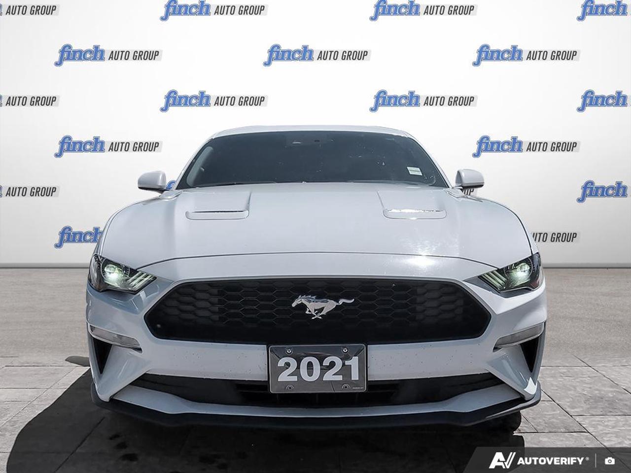 2021 Ford Mustang EcoBoost 2dr Fastback Photo