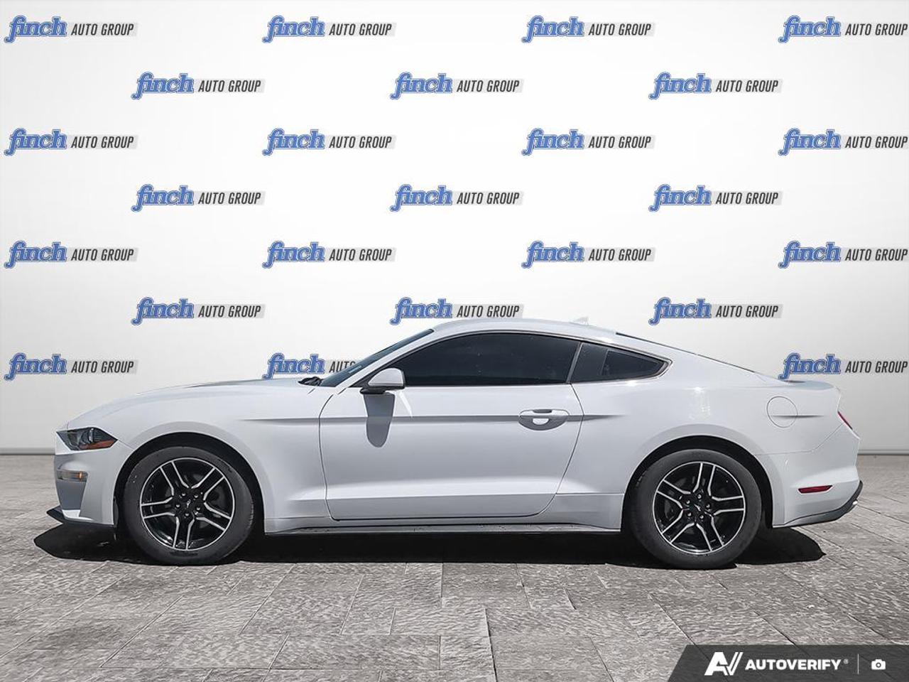 2021 Ford Mustang EcoBoost 2dr Fastback Photo