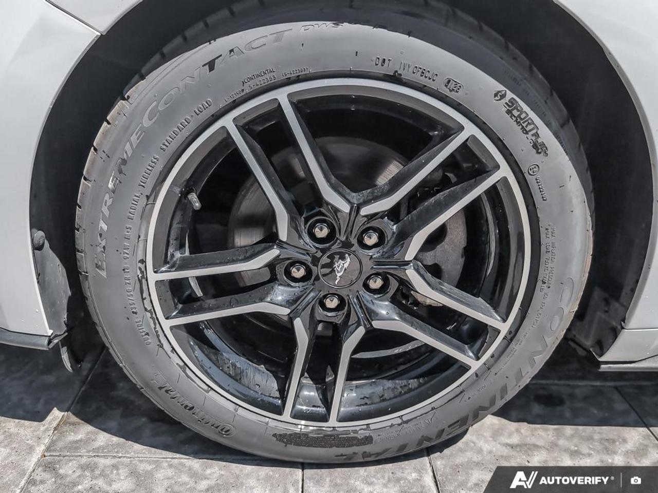 2021 Ford Mustang EcoBoost 2dr Fastback Photo