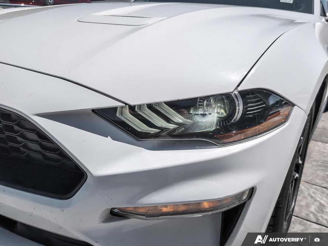 2021 Ford Mustang EcoBoost 2dr Fastback Photo