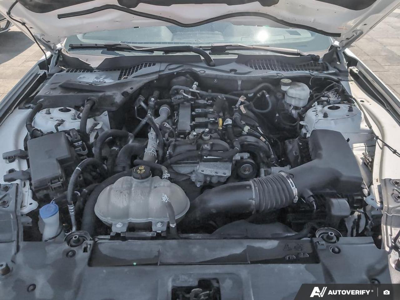 2021 Ford Mustang EcoBoost 2dr Fastback Photo